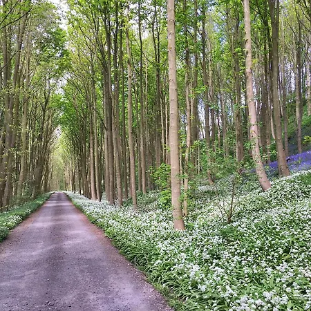 Vakantiehuis Finest Retreats - Ingleby Manor - Courtyard Great Ayton